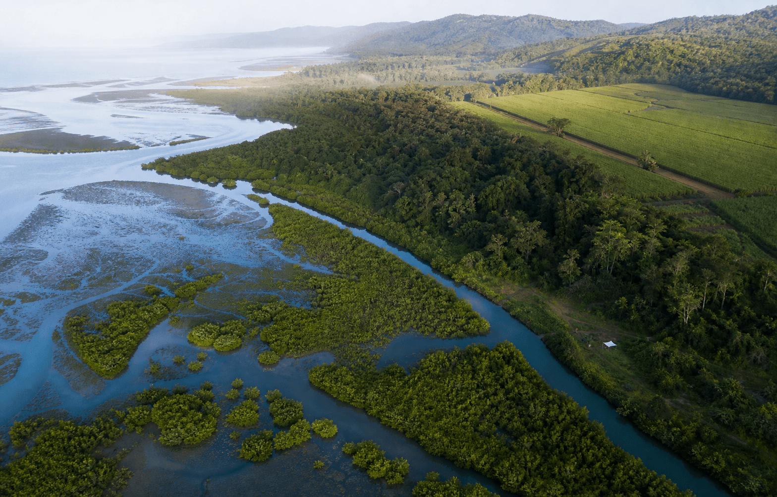 Restored wetlands, forests and farmland supporting carbon projects